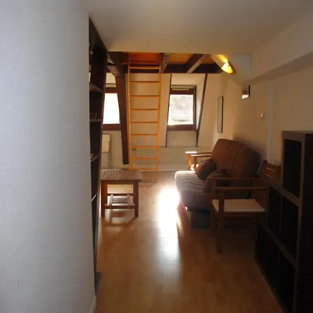 Charmant Hypercentre Appartement Straatsburg
